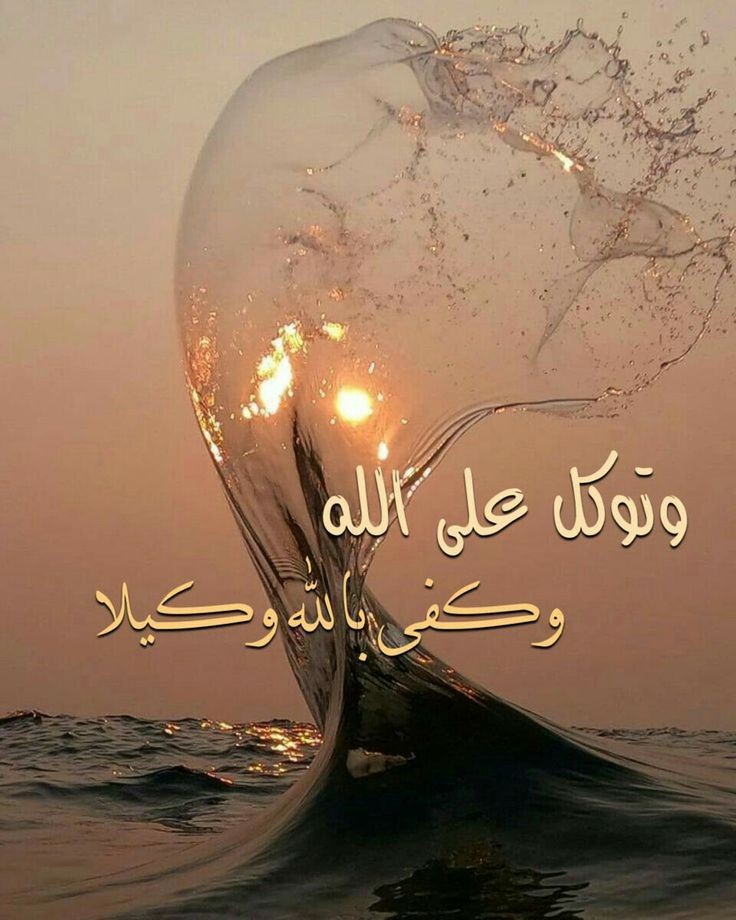 Photo de أم أنس بن داود