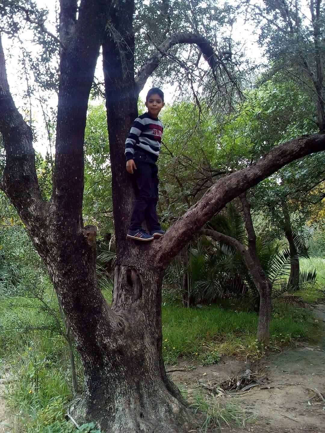 Photo de Bettouhami Essia