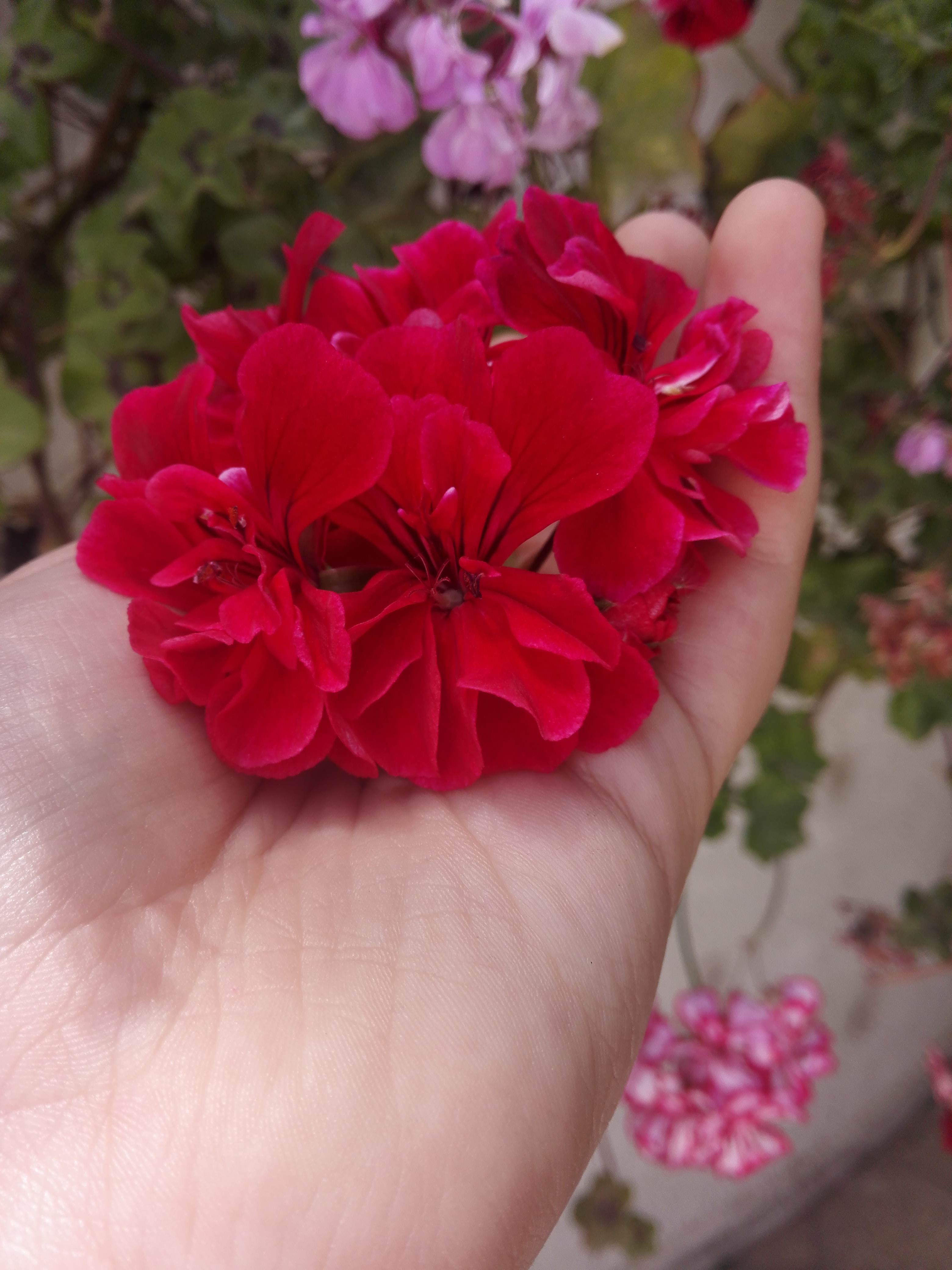 Photo de Fatma aouna