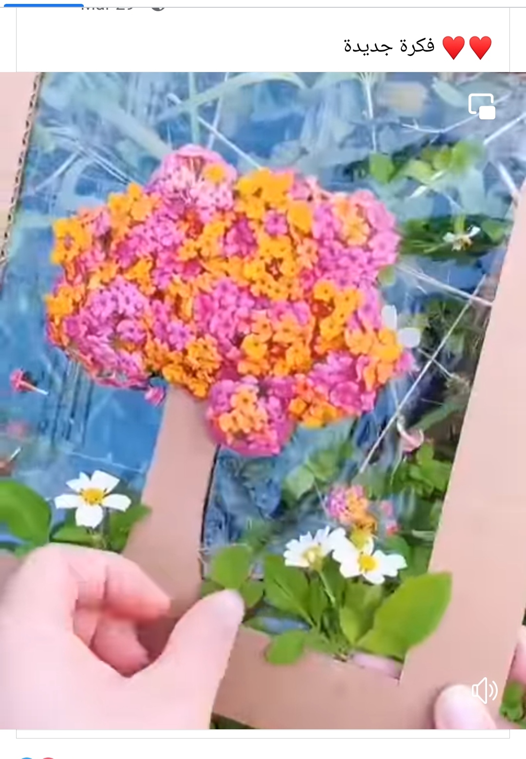 Photo de belhaj bessem