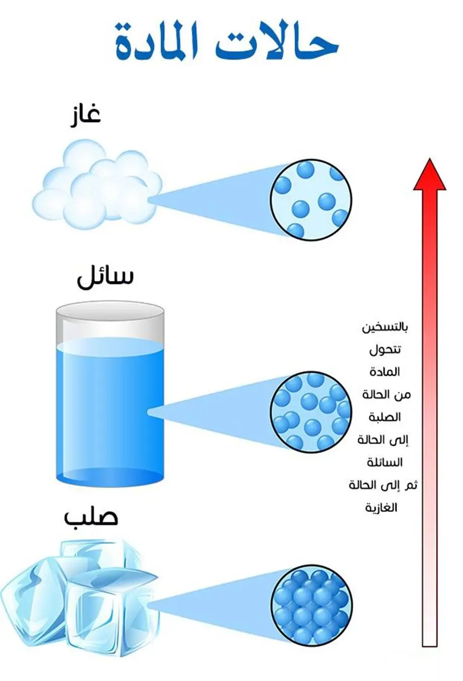 Photo de Lahmar Khaled