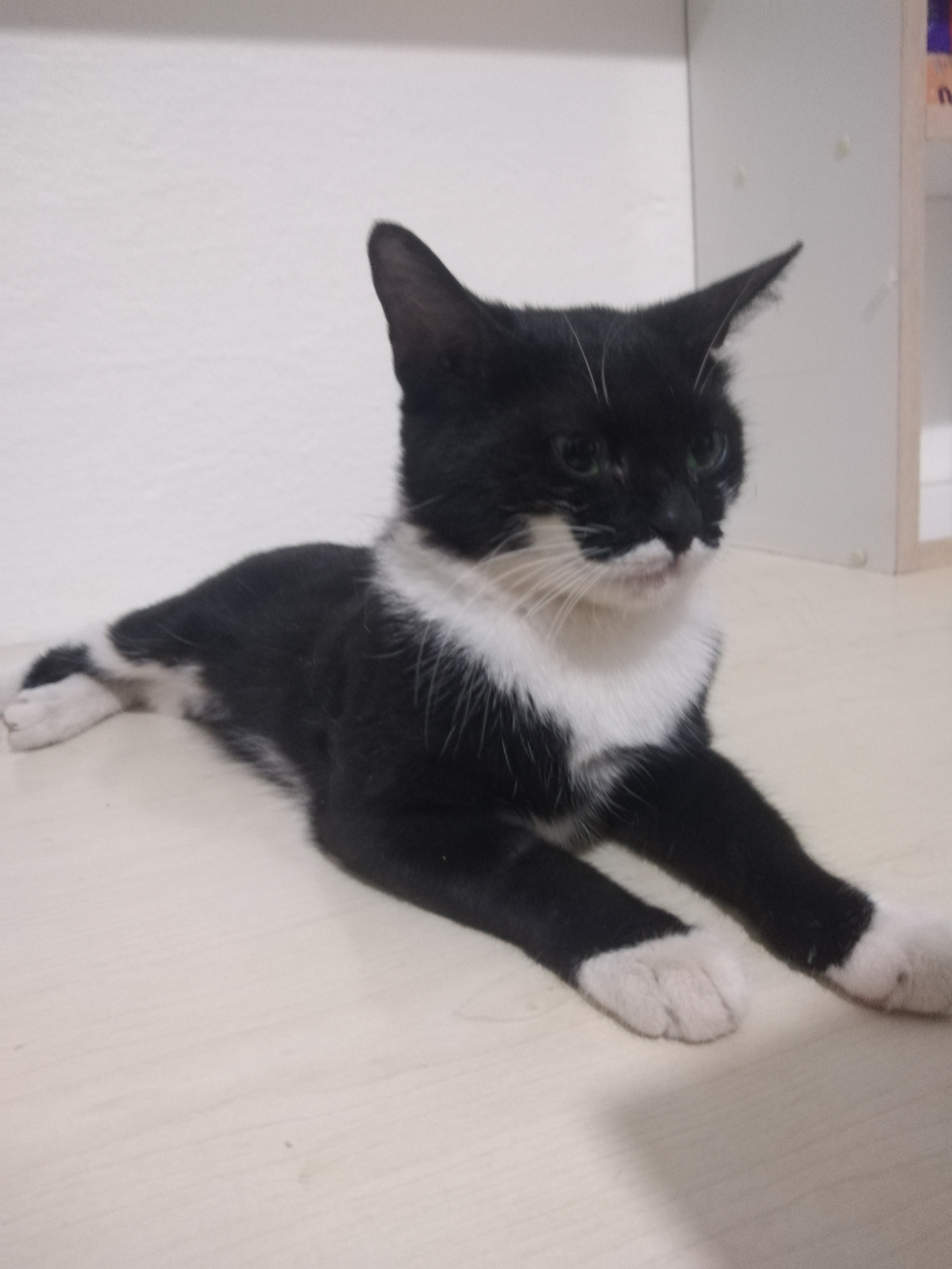 Photo de Chemise eddine