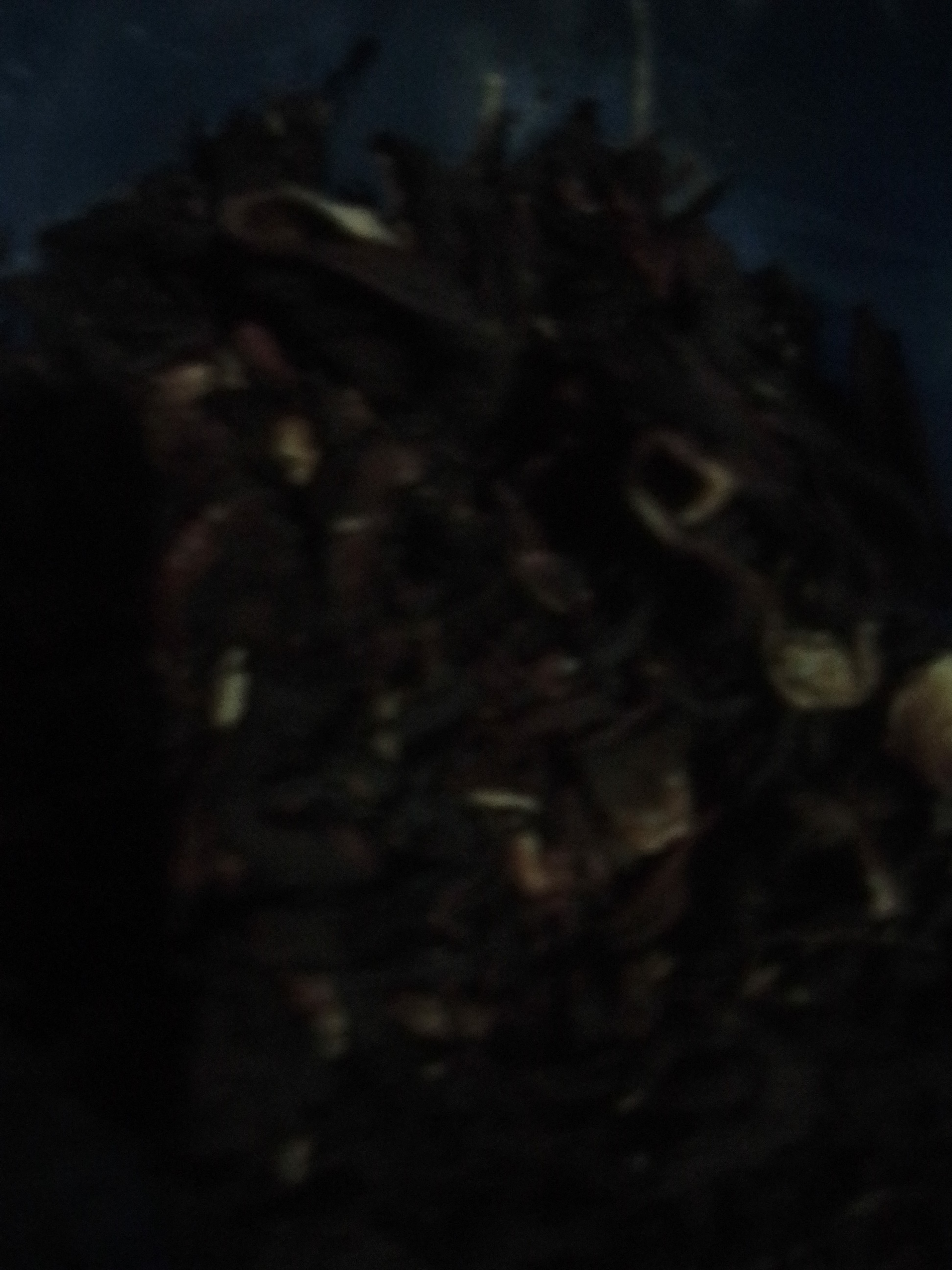 Photo de Abdallahabderrazak