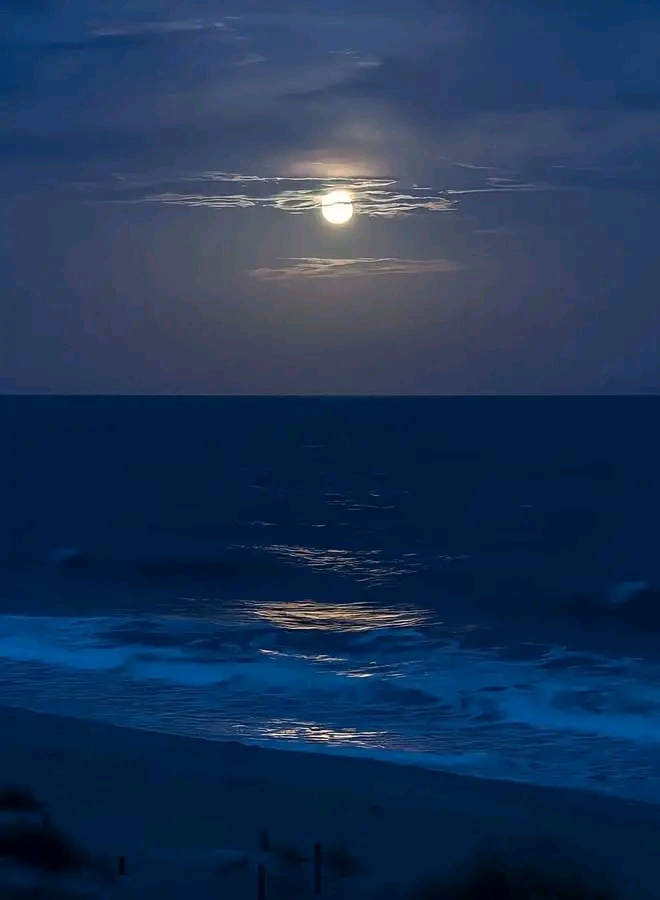 Photo de Marwa Nouri