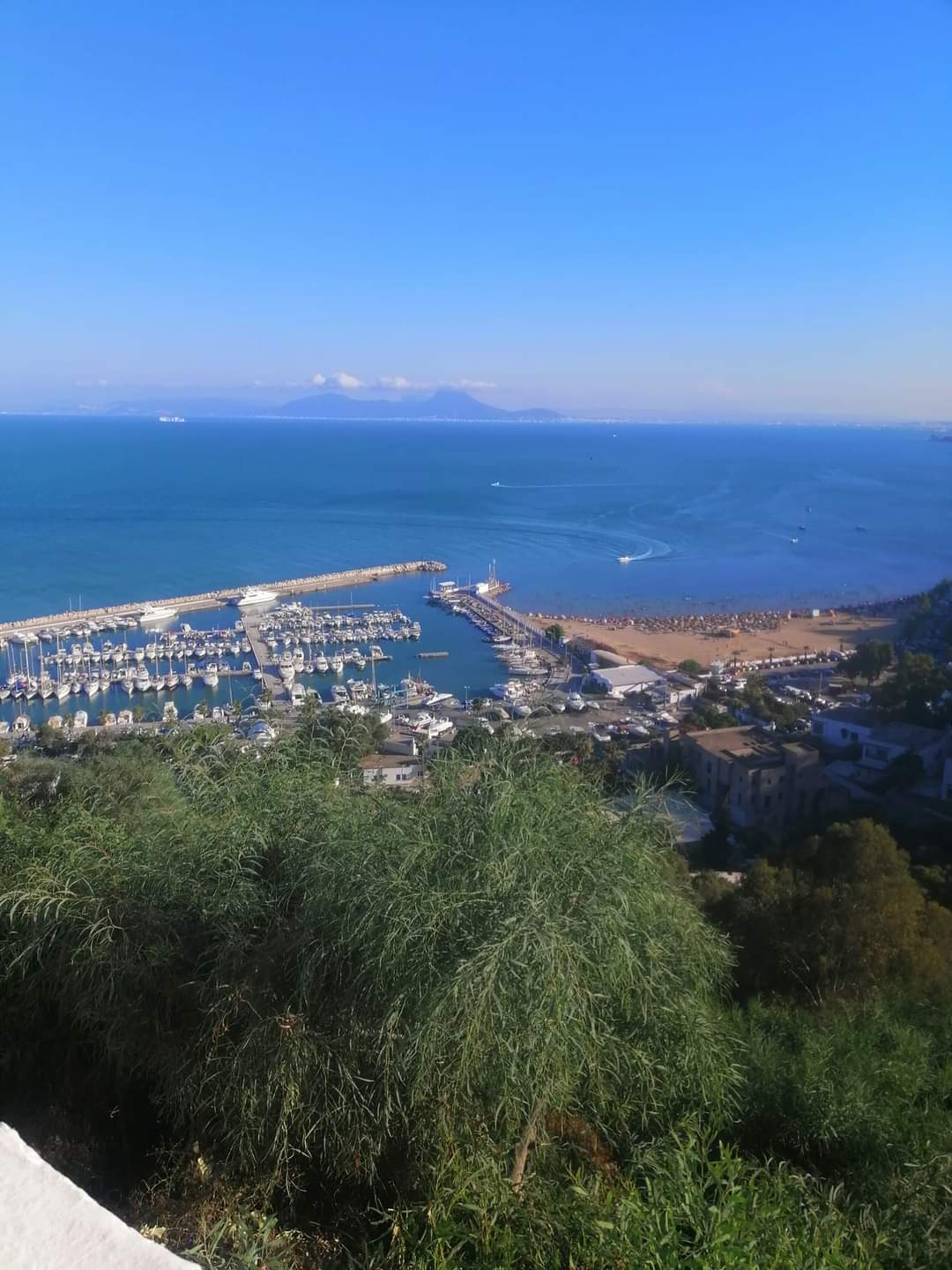 Photo de Ramzi ben jaballah