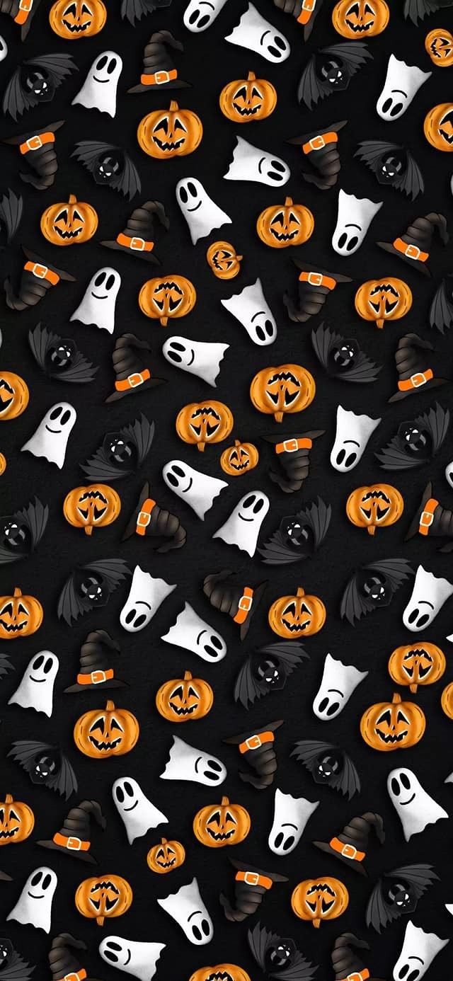 Photo de Zayd Sabbegh 