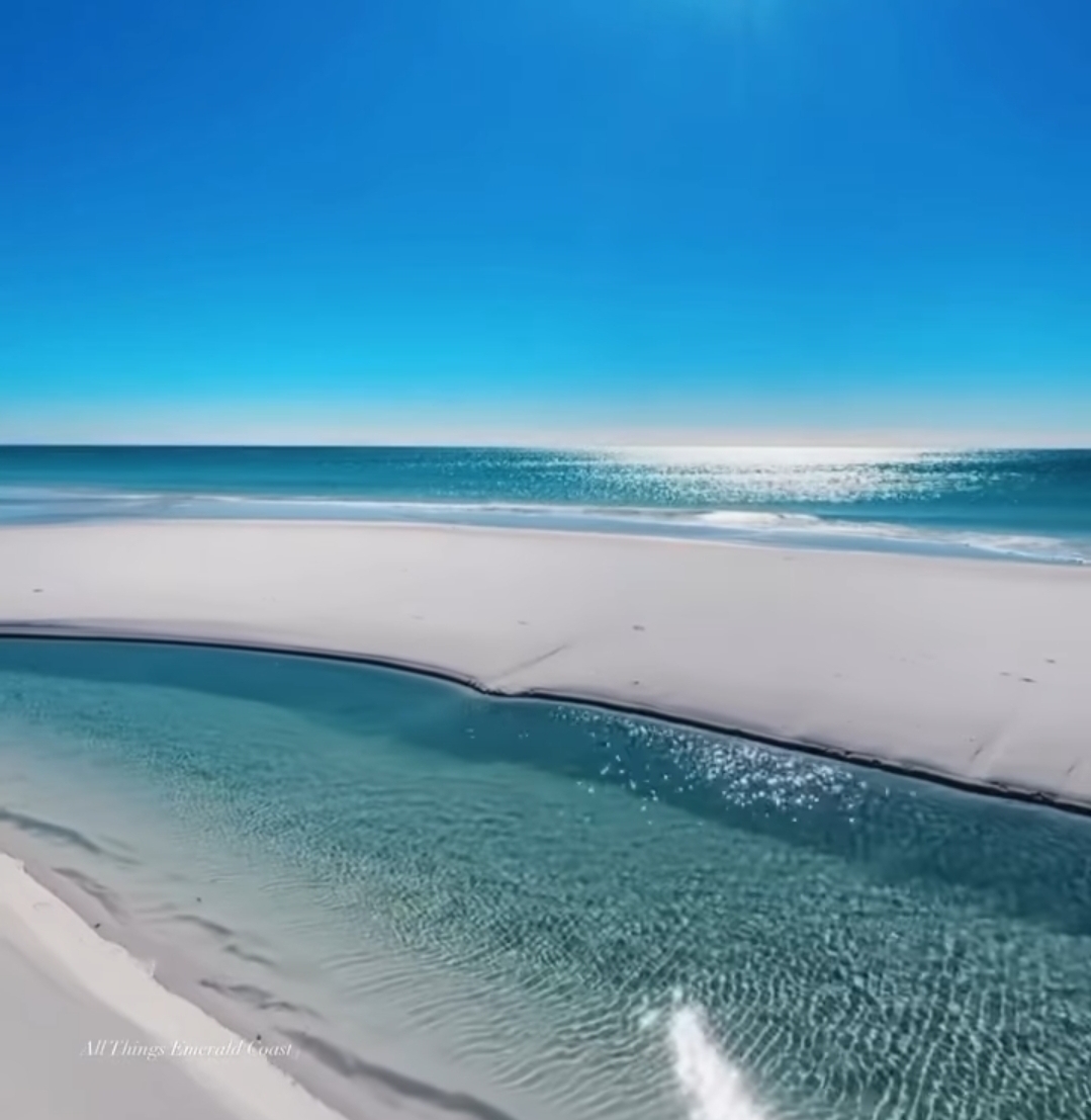 Photo de Selyma Ayed