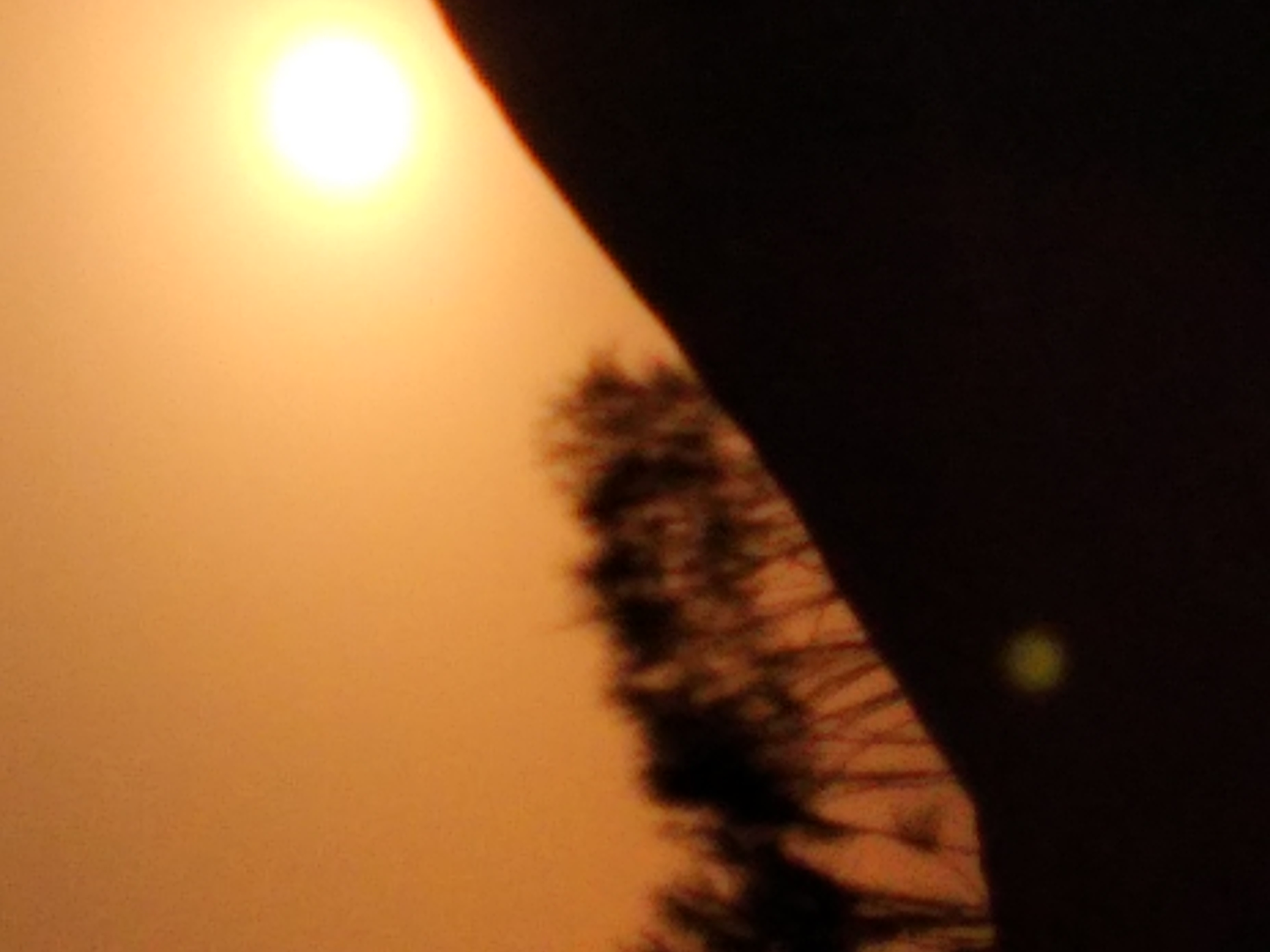 Photo de Oumayma slai 