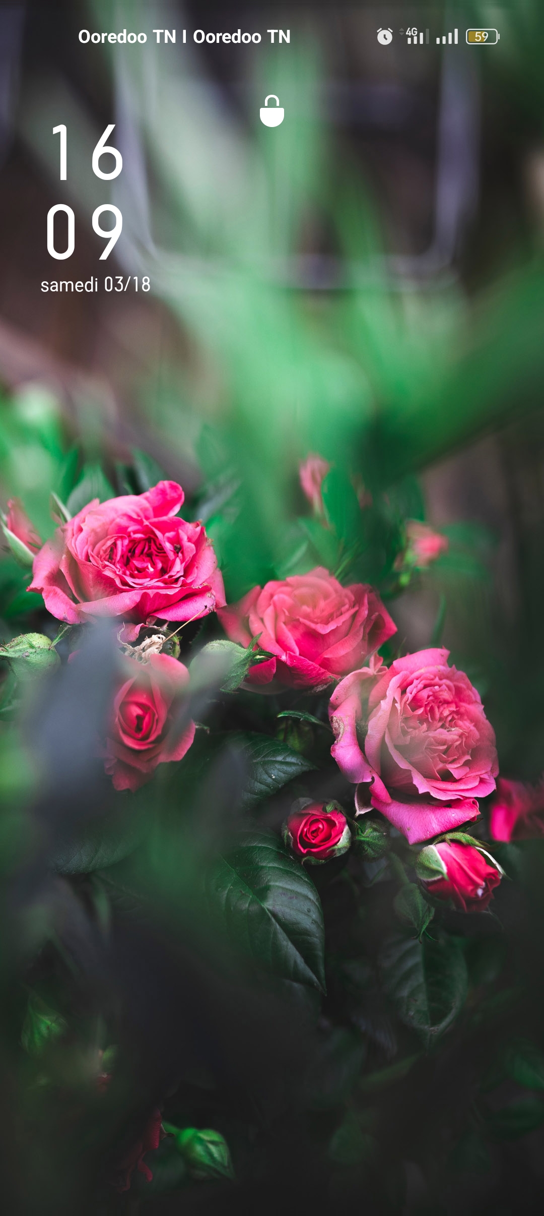 Photo de رجاء هرشي