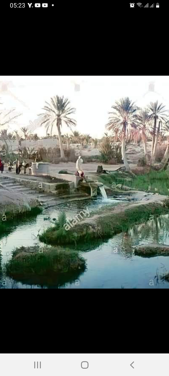 Photo de jaouachi aicha