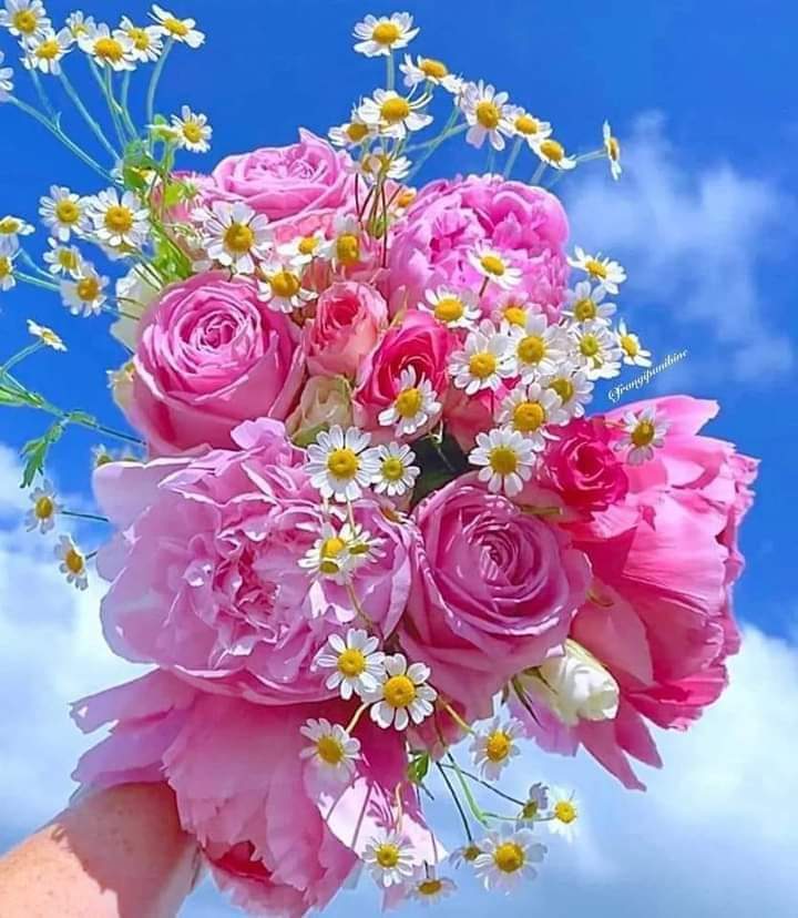 Photo de إنتصار الحنيني 