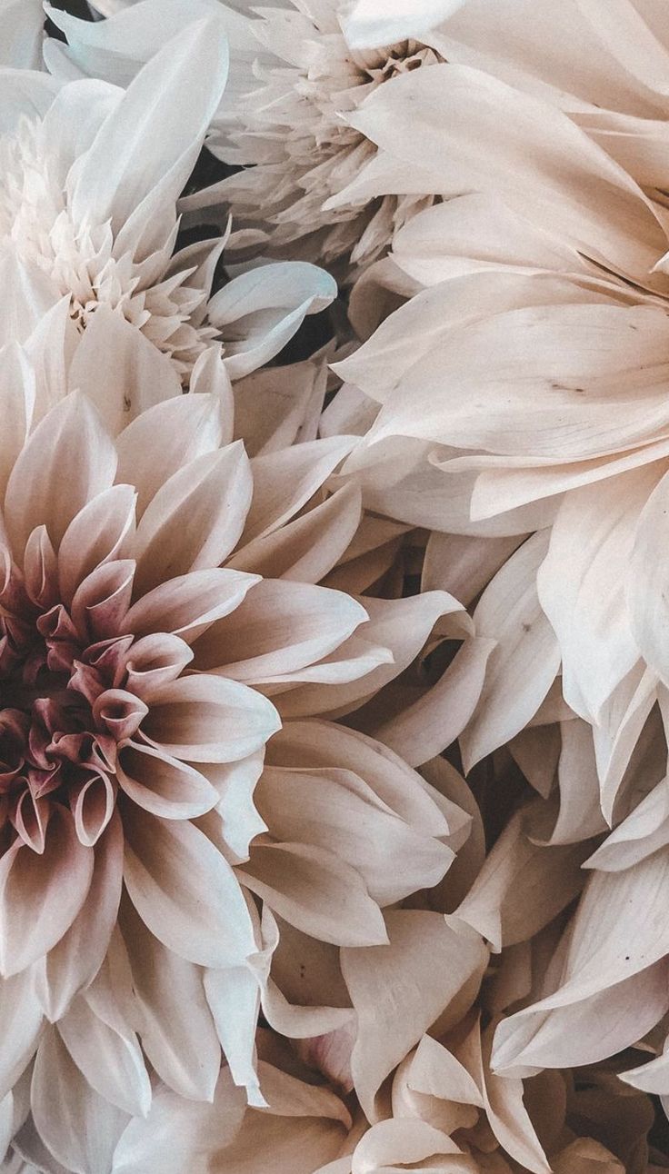 Photo de Imirka Imirka