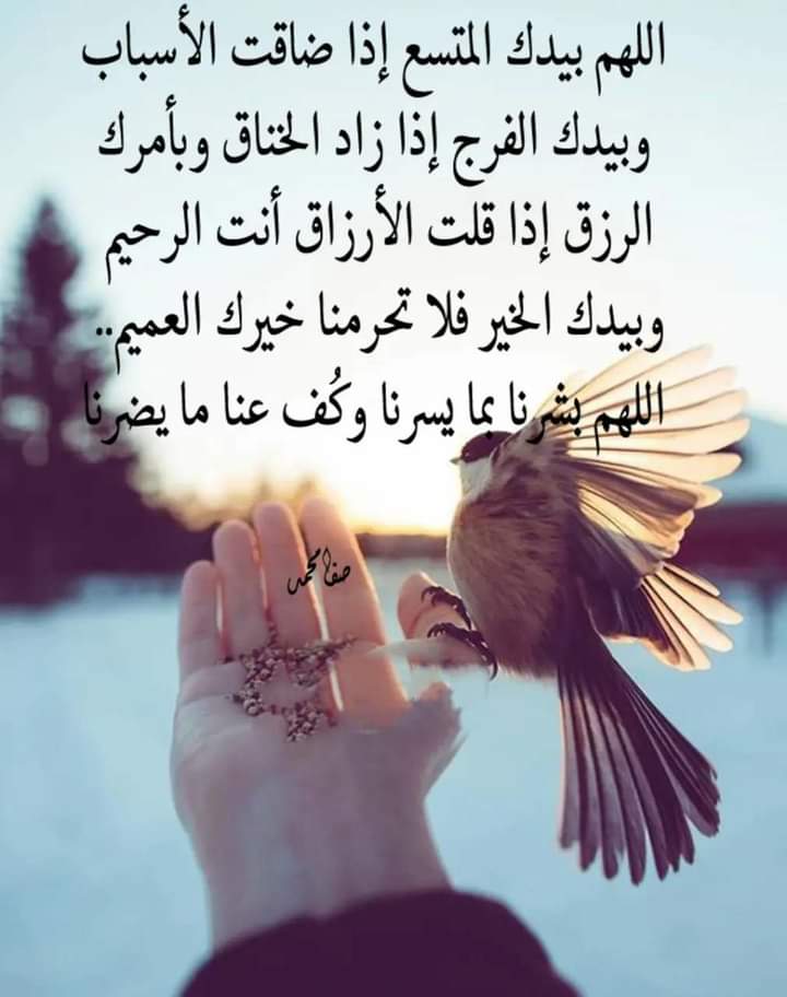 Photo de Slimi houda