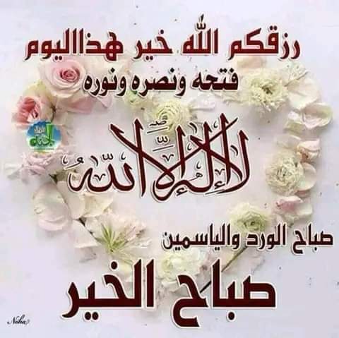 Photo de Anis Jouini