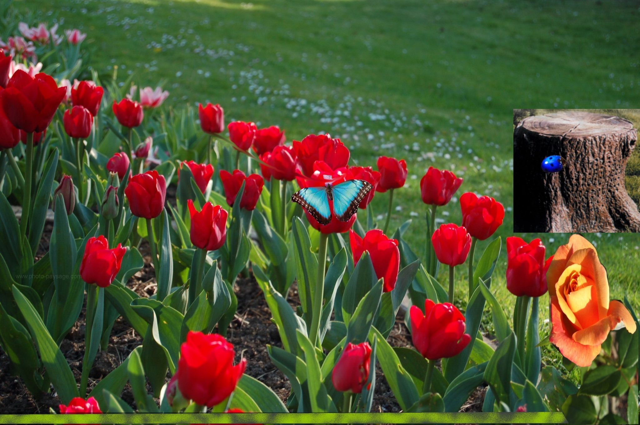 Photo de Classi Interactif