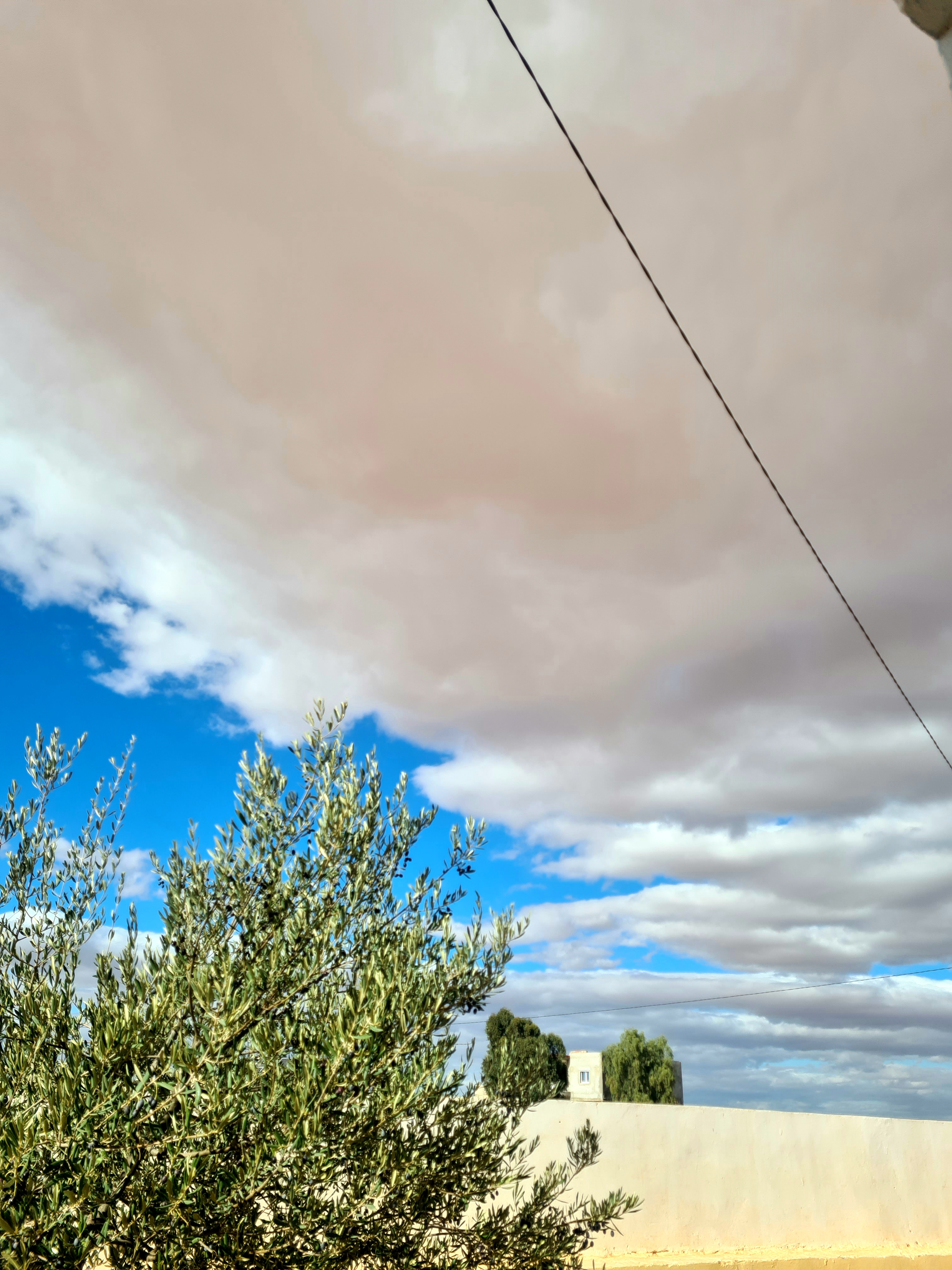 Photo de Wafa benali