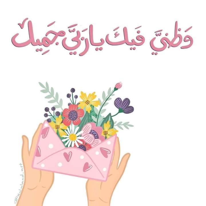 Photo de Arken manel