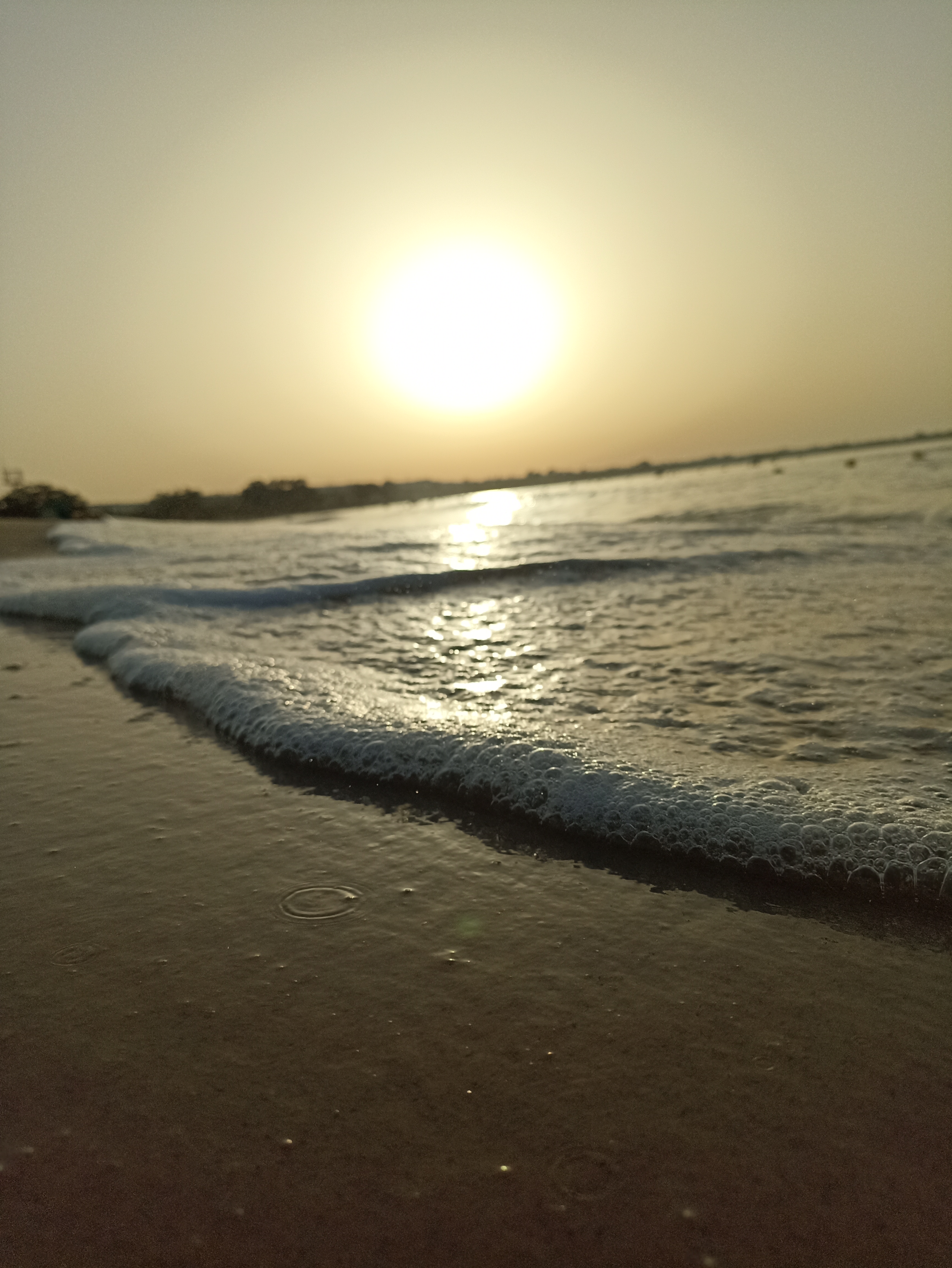 Photo de SAIDI NAJET