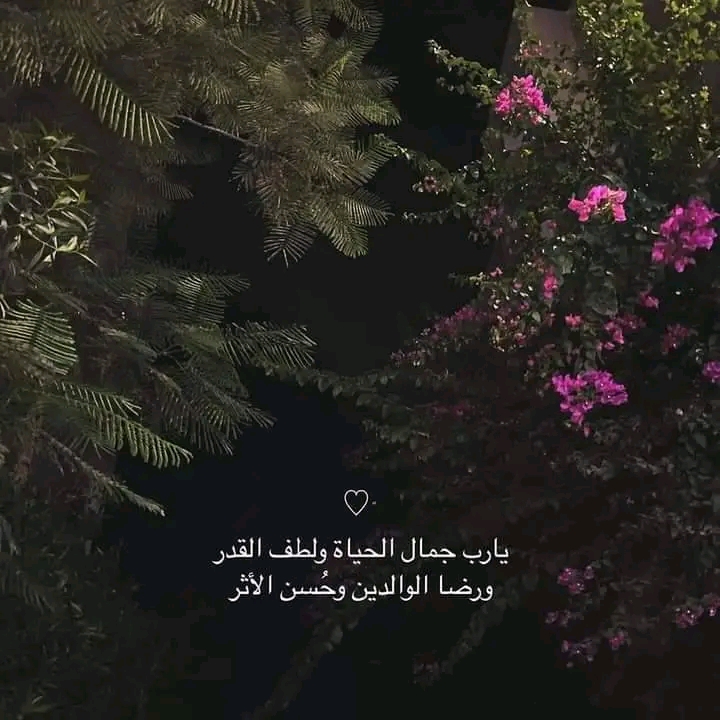 Photo de Ibtihel mnsri