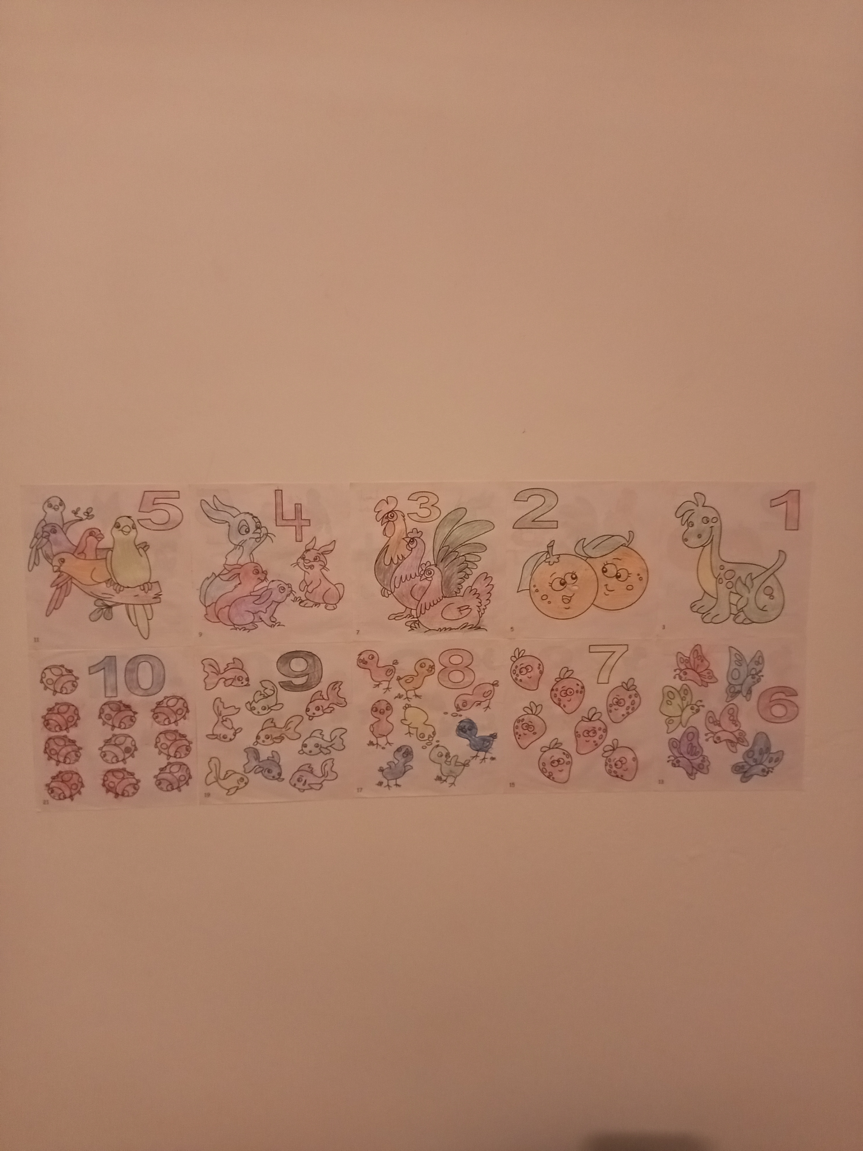 Photo de Kahlaoui baraa